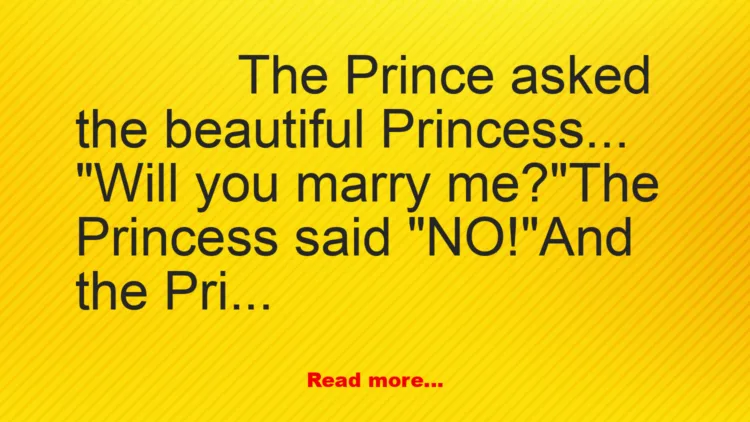 Joke: The Prince and The Princess