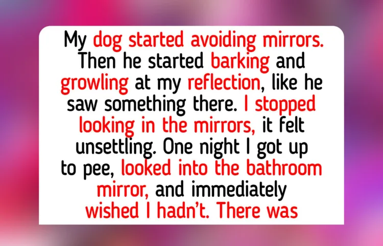 The Unusual Bond: 11 Moving Tales of Inter-Species Friendships