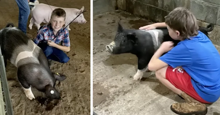 Three charged with killing 12-year-old's therapy pig as family reveal Tragic End for Autistic Boy’s Support Pig, Family Seeks Justice