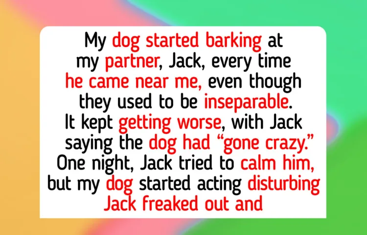 Eleven Heart-Warming Stories of Pets Healing their Owners with Unconditional Love