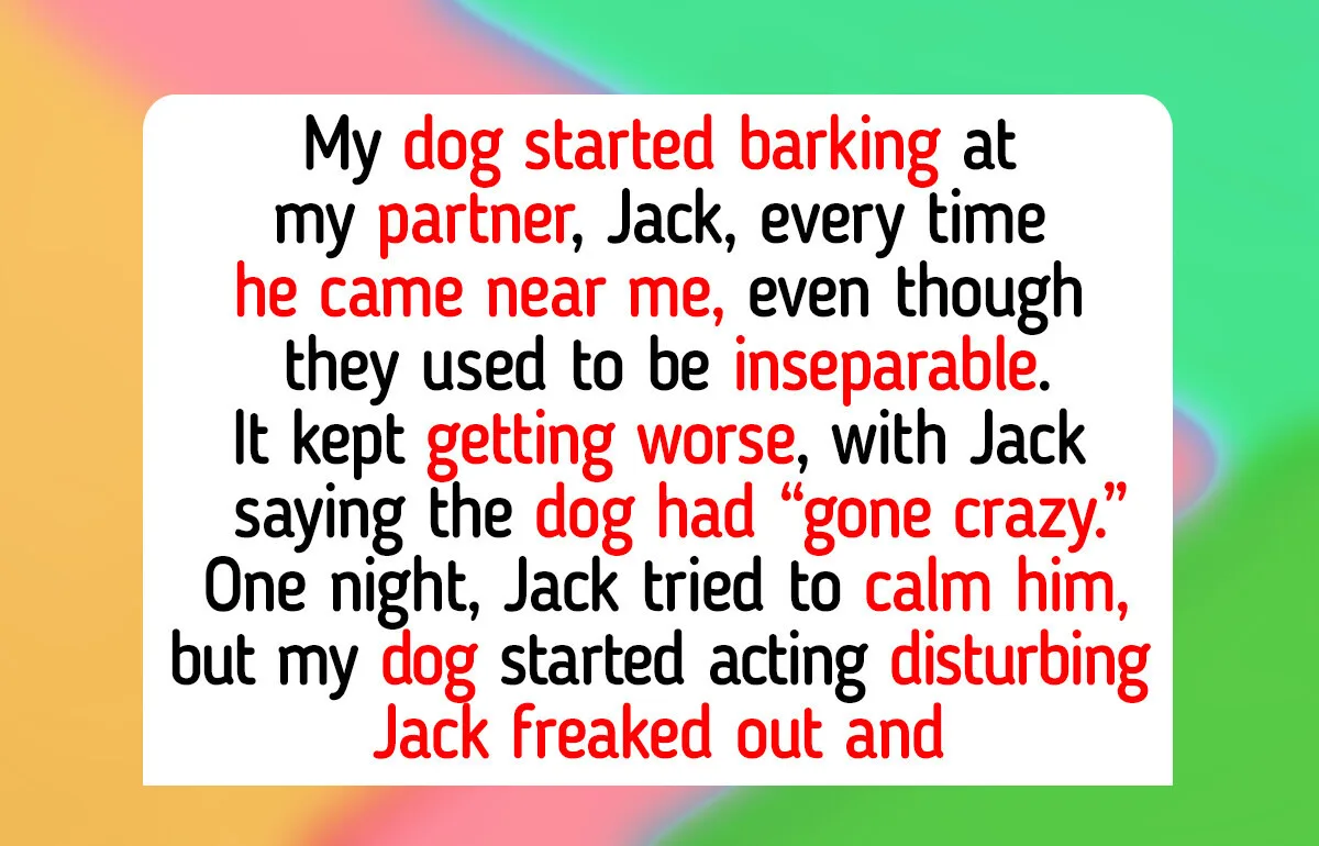 Eleven Heart-Warming Stories of Pets Healing their Owners with Unconditional Love
