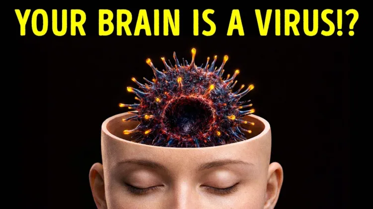 Human Body Facts Your Mirror Won’t Show You - video Human Body Facts Your Mirror Won’t Show You – video