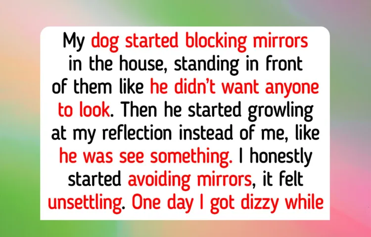 Top 11 Pets Who Proved Kindness Successfully Can Save a Broken Soul