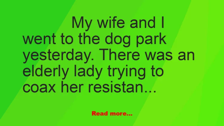 Joke: Dog Park Etiquette