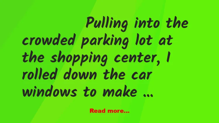 Joke: Just Put It In Park