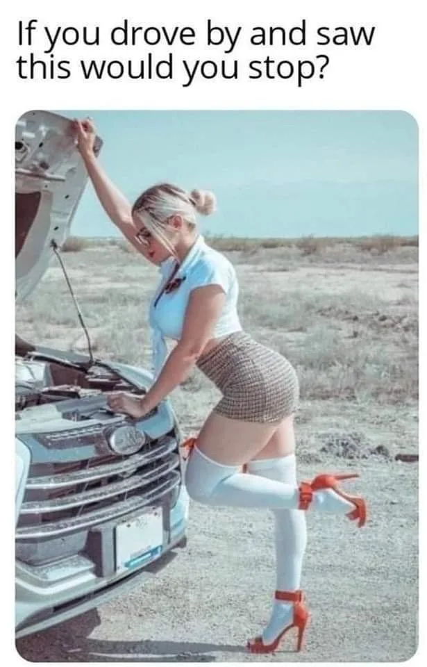 If you drove by and saw this would you stop? If you drove by and saw this would you stop?