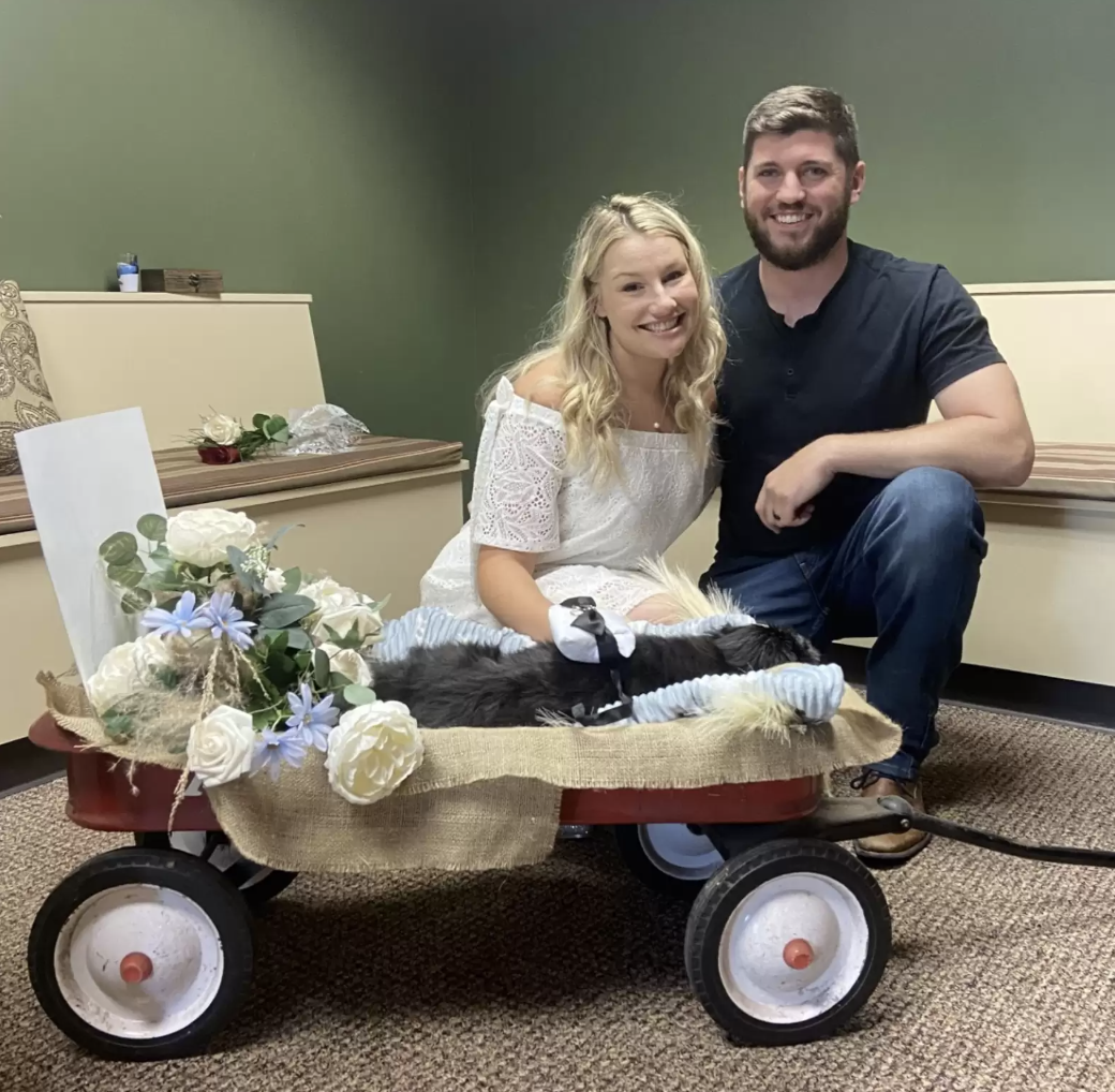 Couple holds last-minute wedding at vets with senior dog