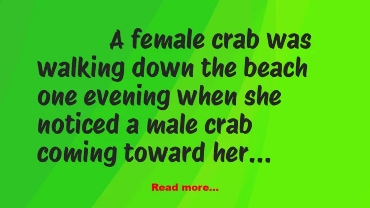 Joke: A Straight Crab