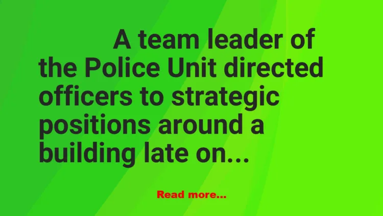 Joke: Team Leader Joke: Team Leader
